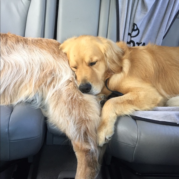 Meet your Posher, Debbie - Picture 2 of 8